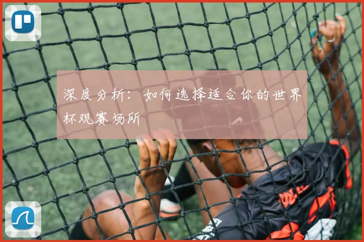 深度分析:如何选择适合你的世界杯观赛场所