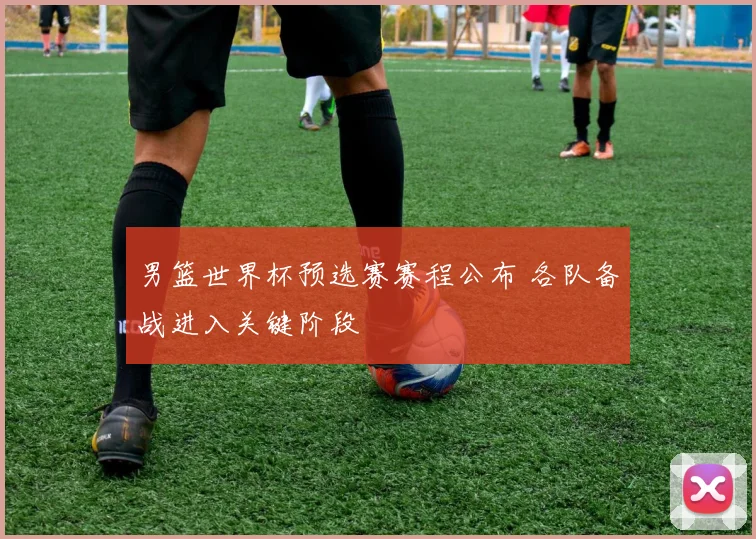 男篮世界杯预选赛赛程公布 各队备战进入关键阶段
