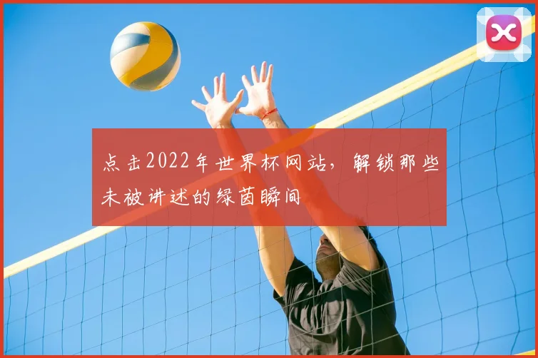 点击2022年世界杯网站，解锁那些未被讲述的绿茵瞬间