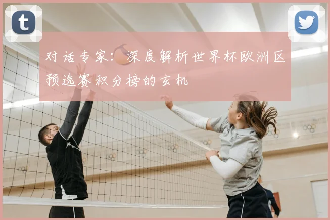 对话专家：深度解析世界杯欧洲区预选赛积分榜的玄机