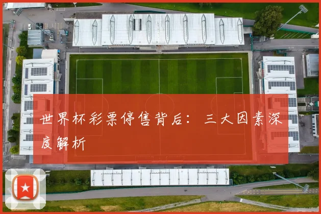 世界杯彩票停售背后:三大因素深度解析