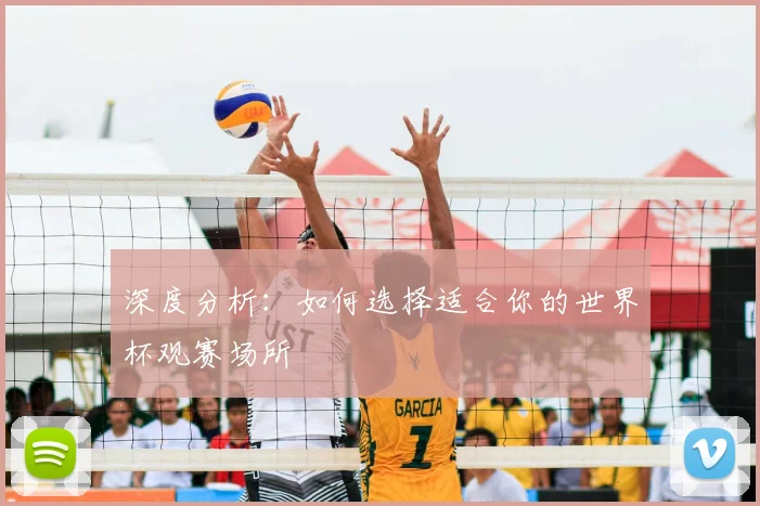 深度分析:如何选择适合你的世界杯观赛场所
