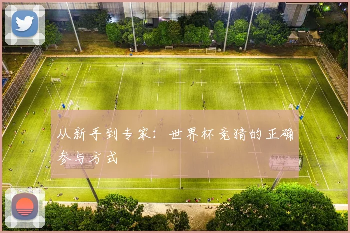 从新手到专家:世界杯竞猜的正确参与方式