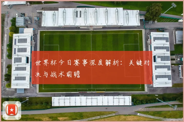 世界杯今日赛事深度解析:关键对决与战术前瞻
