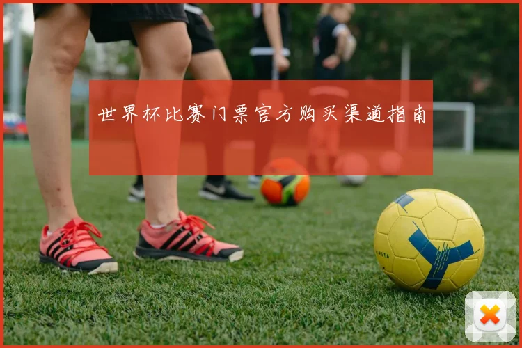 世界杯比赛门票官方购买渠道指南