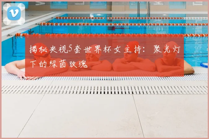 揭秘央视5套世界杯女主持:聚光灯下的绿茵玫瑰