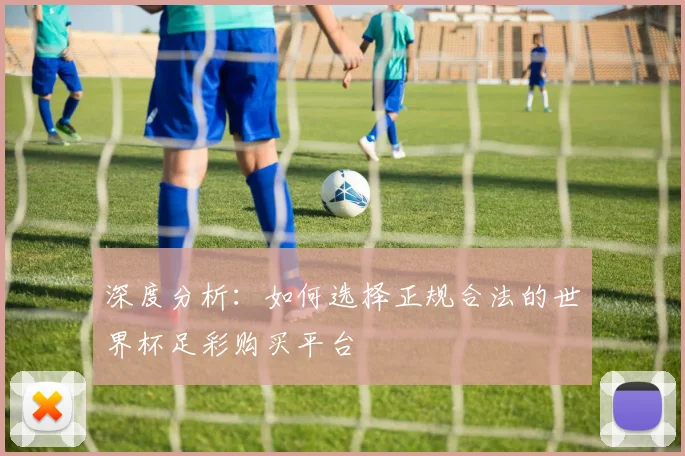 深度分析：如何选择正规合法的世界杯足彩购买平台