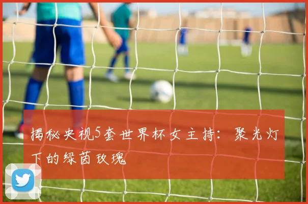揭秘央视5套世界杯女主持:聚光灯下的绿茵玫瑰
