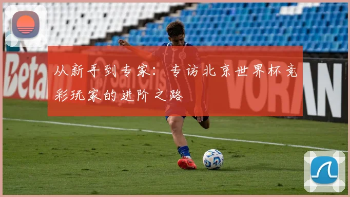 从新手到专家:专访北京世界杯竞彩玩家的进阶之路