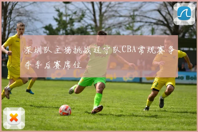 深圳队主场挑战辽宁队CBA常规赛争夺季后赛席位