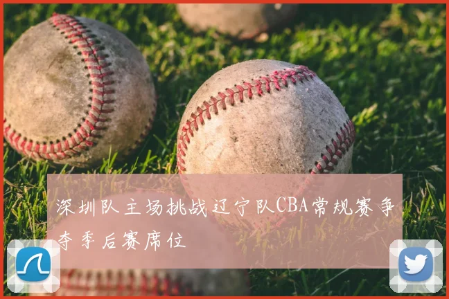 深圳队主场挑战辽宁队CBA常规赛争夺季后赛席位