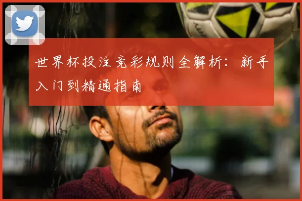 世界杯投注竞彩规则全解析:新手入门到精通指南